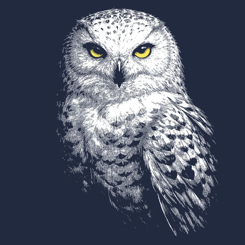 Harfang des neiges