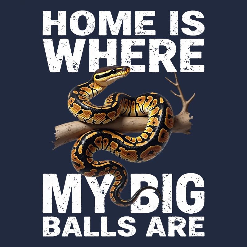 Python roi Serpents Amateurs de terrarium Python