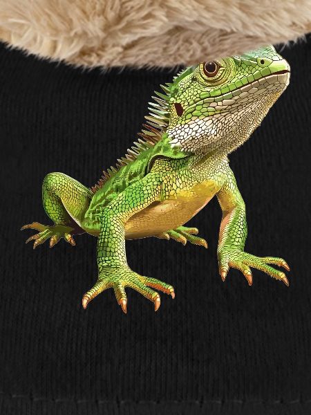 Lizards Lizard