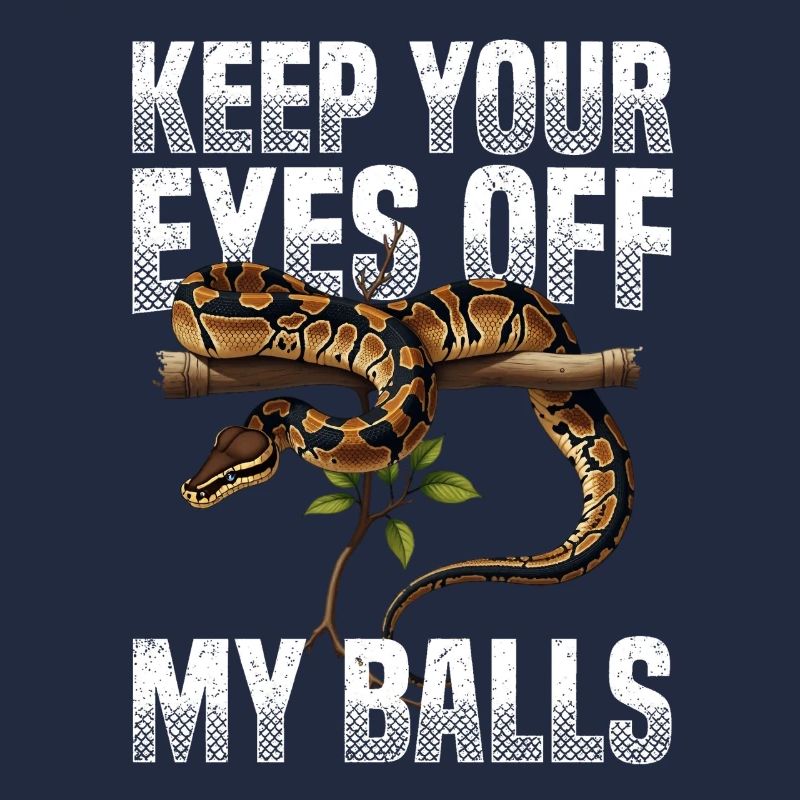 Königspython Schlangen Liebhaber Terrarium Python