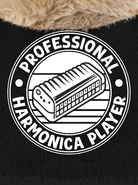 Harmonica Musican Professional Harmonica