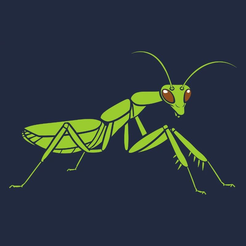 Praying mantis