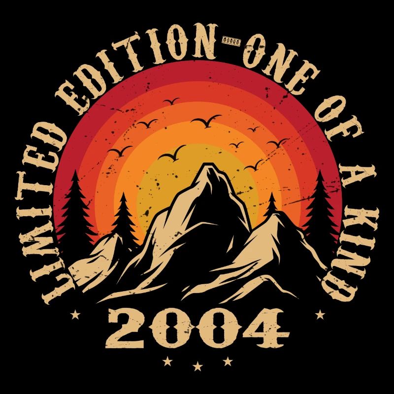 Vintage 2004 Retro 2004 Anniversary Gift 2004