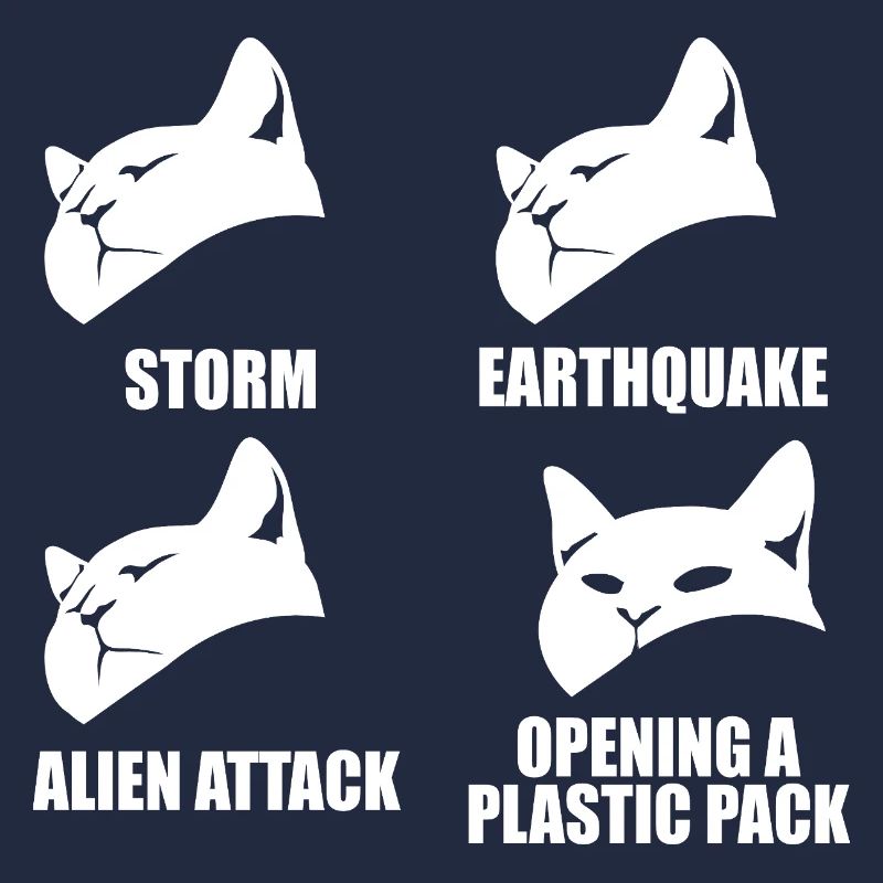 Cat - selective perception - saying