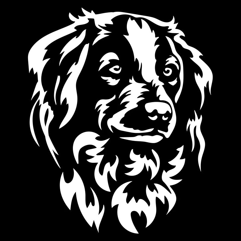 Kooikerhondje Kopf "Black Edition"