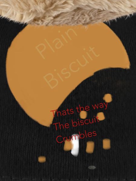 Biscuit