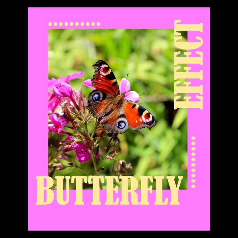 Butterfly Effect Photo Design