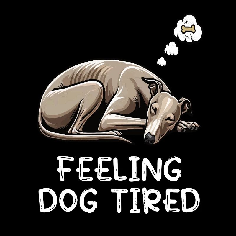 Se sentir fatigué Whippet Whippets Lévriers