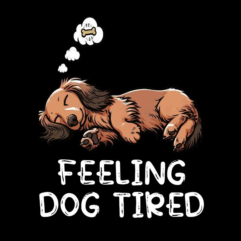 Se sentir fatigué par chien Teckel