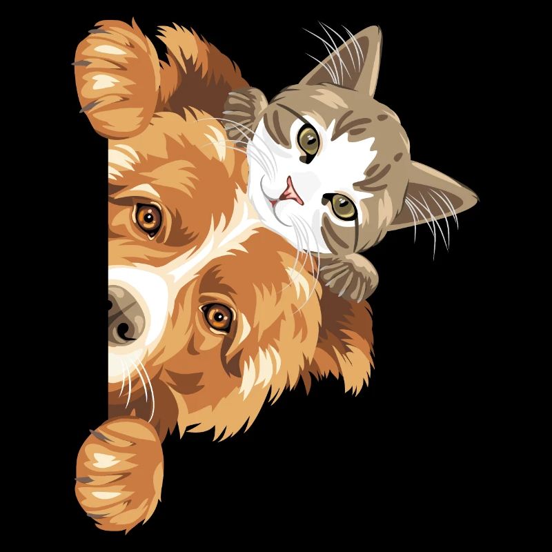Chien Border Collie et chaton mignon