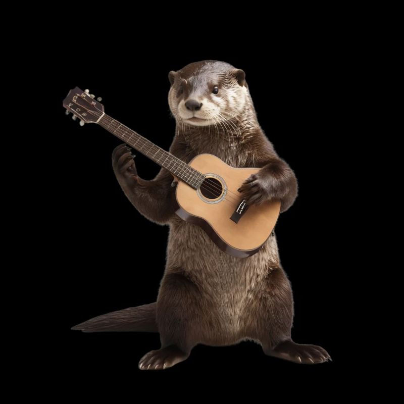 Loutre guitare