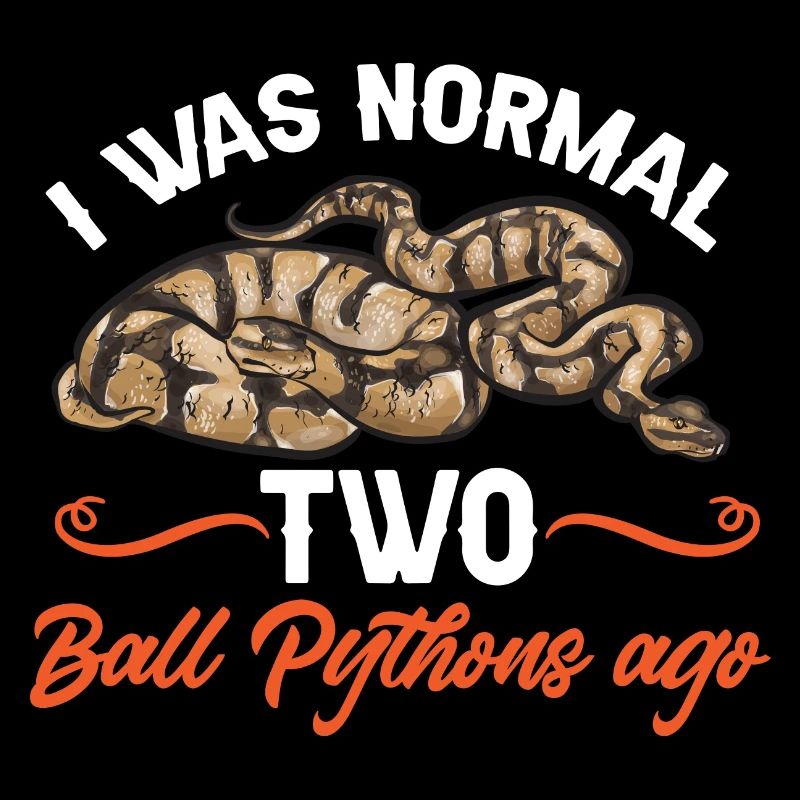 Ball Python Schlange Königspython