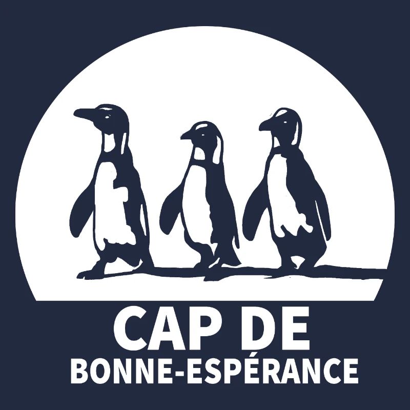 Cap de bonne espérance Afrique du sud