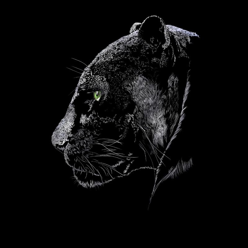 Panther