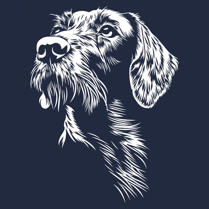 Deutsch Drahthaar Portrait Hunde Jagdhund