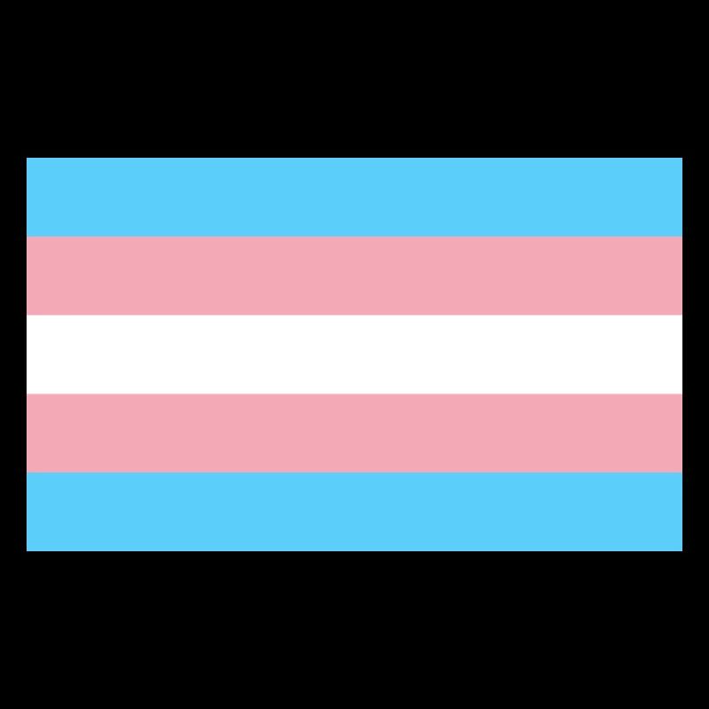 Trans Flag