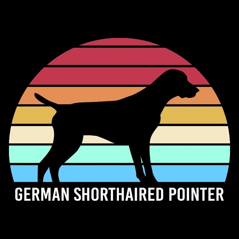 Deutsch Kurzhaar Hund German Pointer