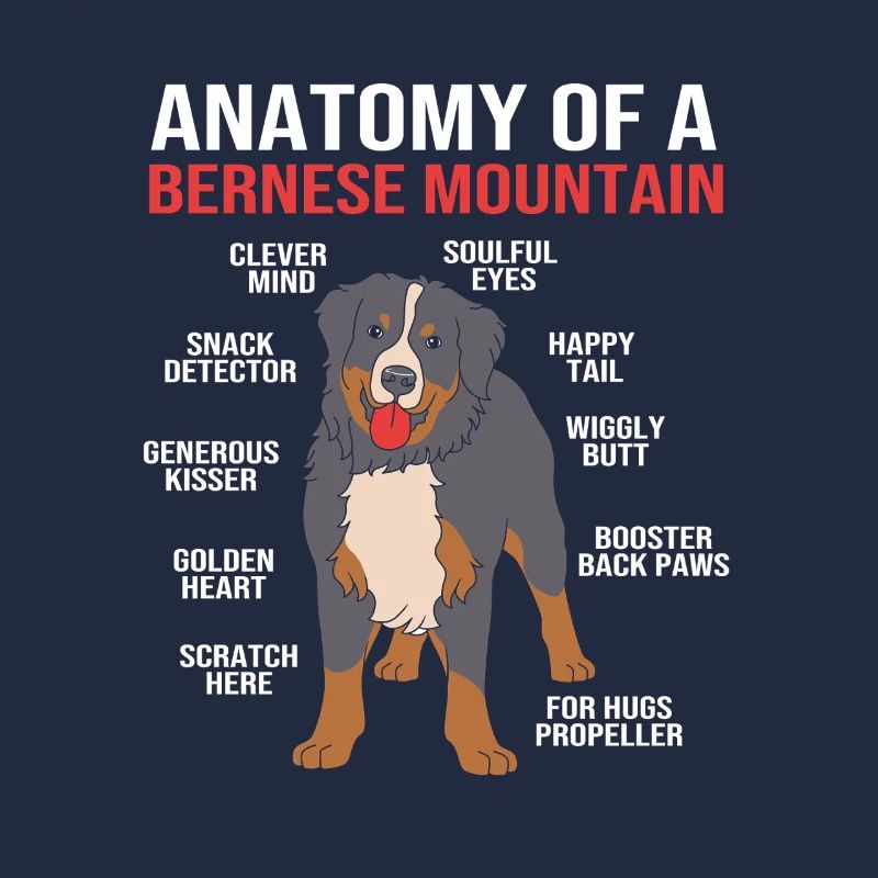 Berner Sennenhund