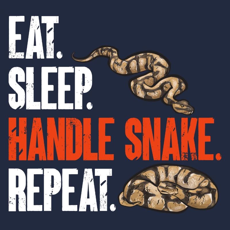 Ball Python Schlange Königspython