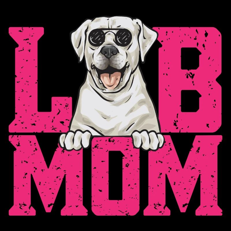 Labrador Retriever blanc Labrador Labrador blanc