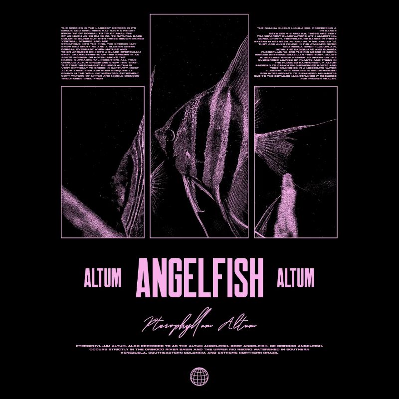 Altum Angelfish Cichlid Aquarium Fish Keeper