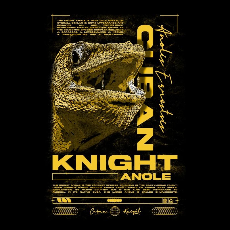 Cuban Knight Anole Reptile Keeper Lizard