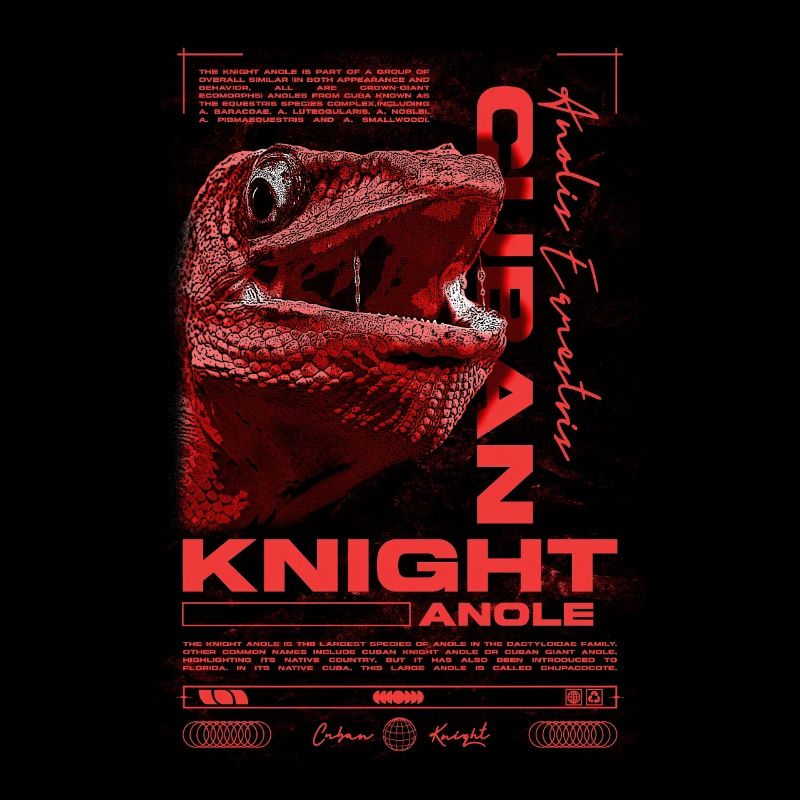 Cuban Knight Anole Reptile Keeper Lizard
