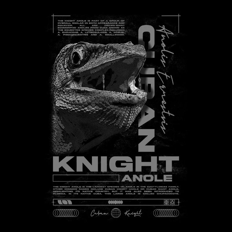 Cuban Knight Anole Reptile Keeper Lizard