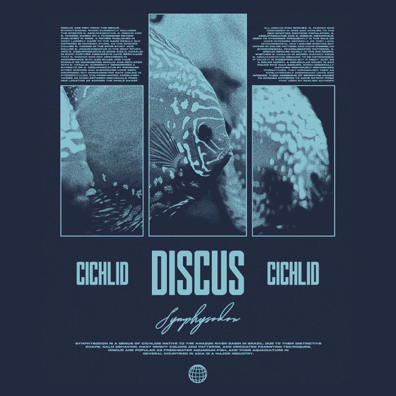 Discus Cichlidé Aquarium Fish Keeper