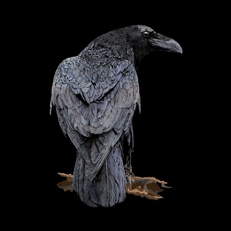 Crow