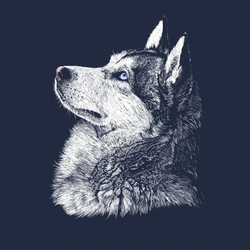 husky