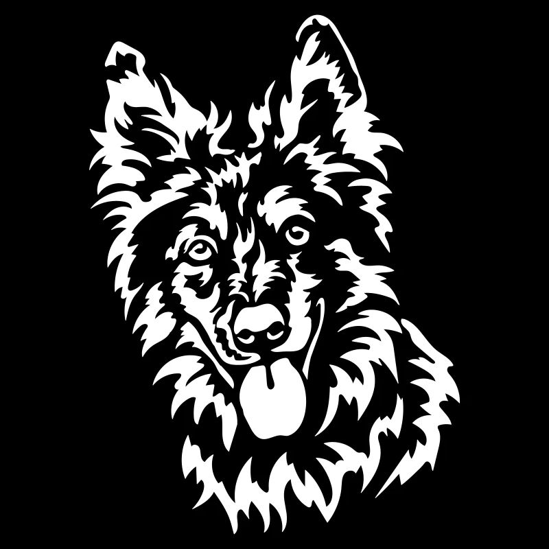 Tête de tigre « Édition Noire »