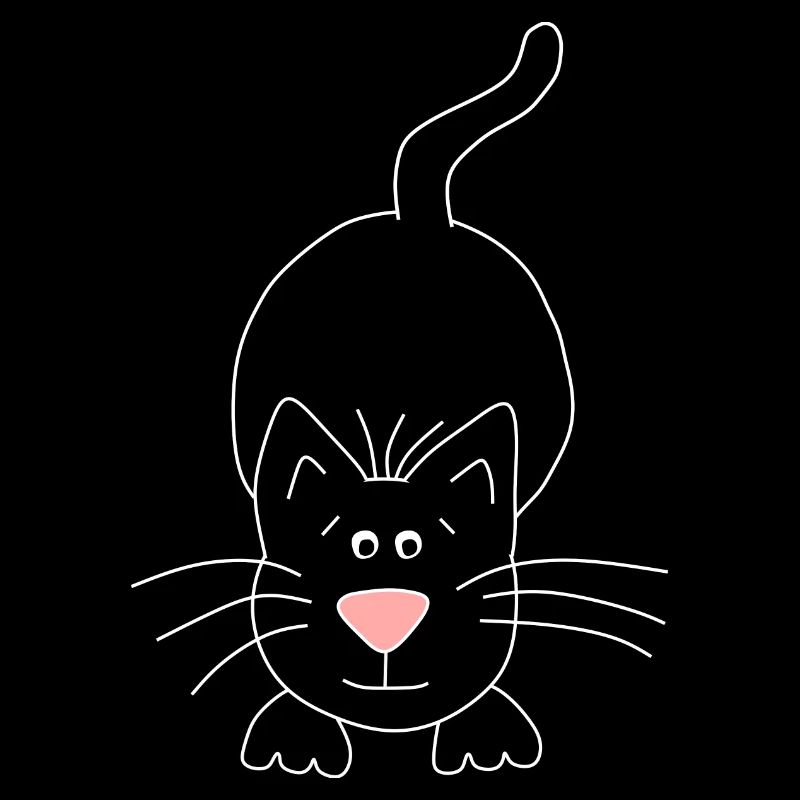 chat noir