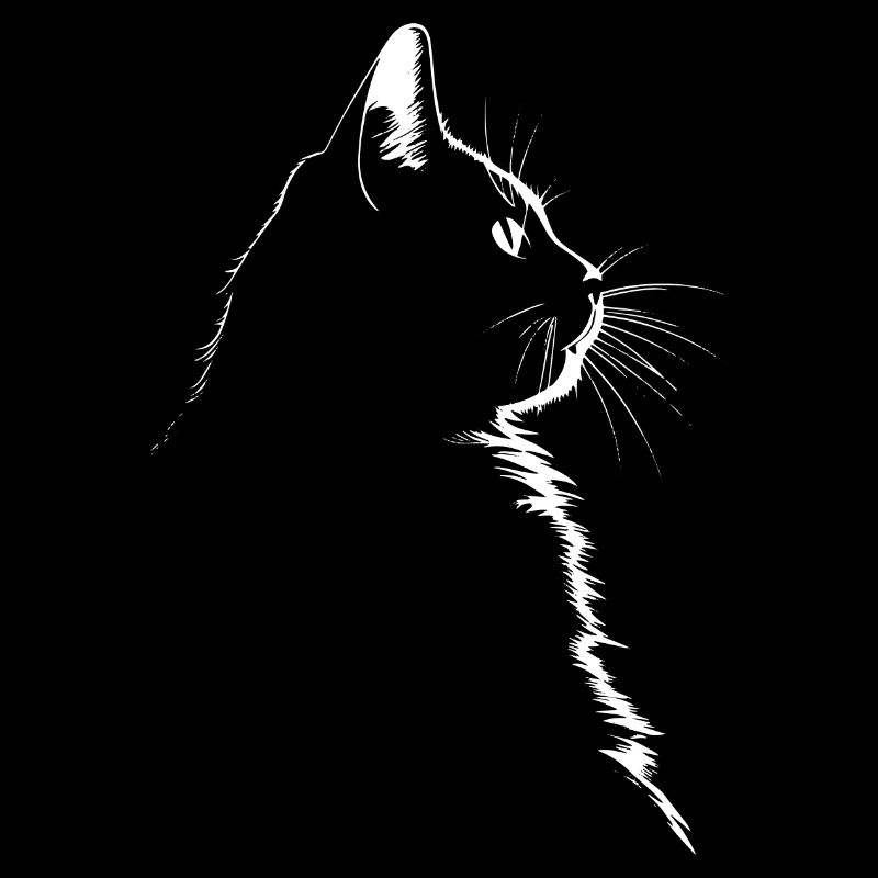 Chat, Motif De Chat