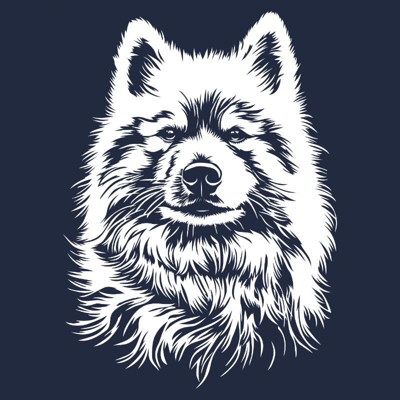 Samojede Portrait Hunde Hund Samoyed
