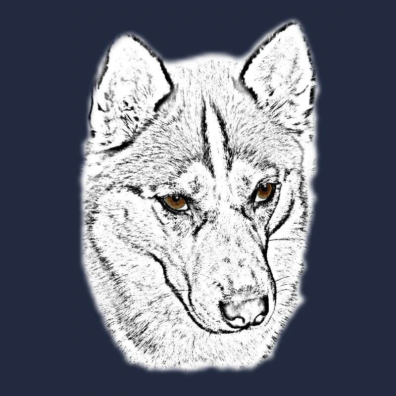 Wolfskopf Line Study