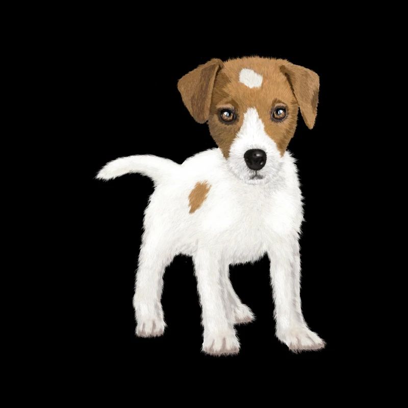 Hi, i am Jack !