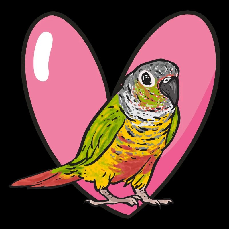 Molina Perruche Perroquet Perruche Oiseau Perruche