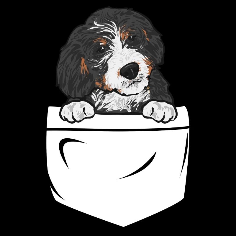 Bernedoodle Hund