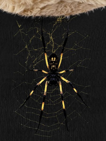 SPINNE