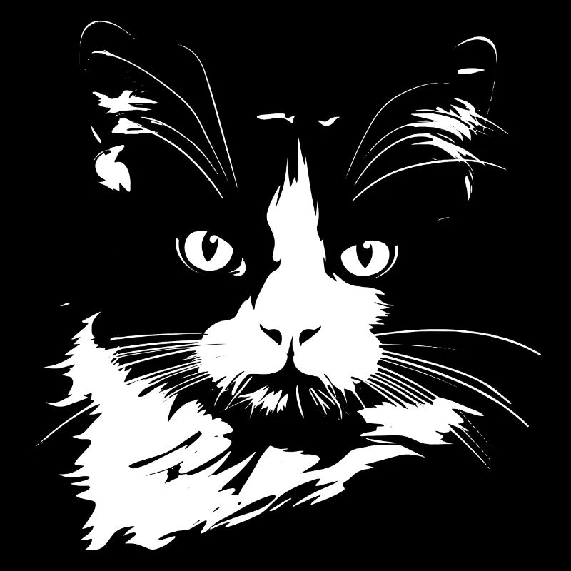 Chat, Motif De Chat