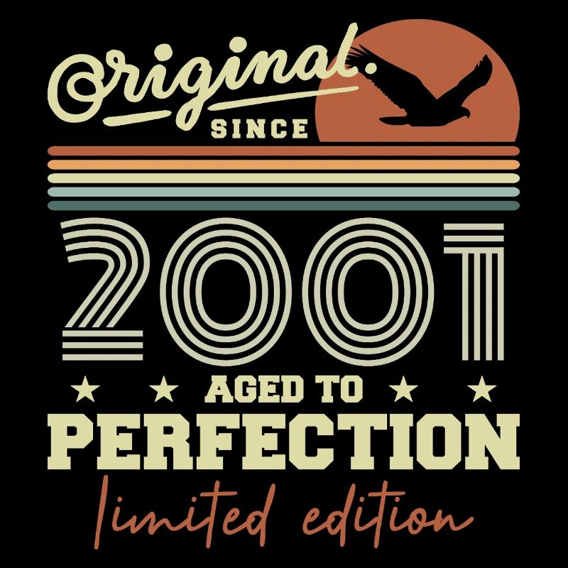 Original 2001 Retro 2001 Geburtstagsgeschenk 2001