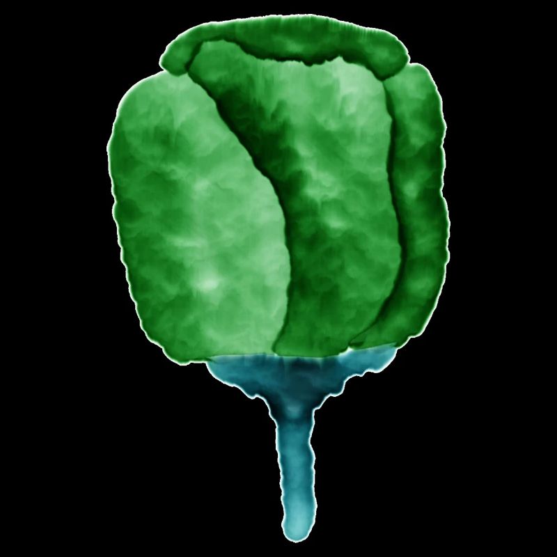 Illustration de fleur verte abstraite