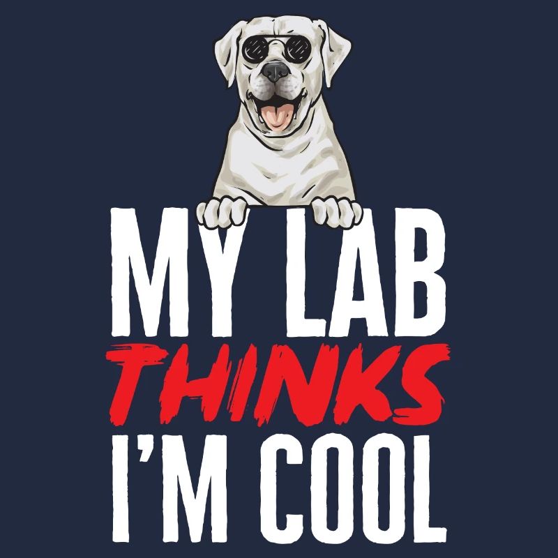 Labrador Retriever blanc Labrador Labrador blanc