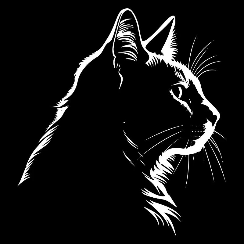 Chat, Motif De Chat