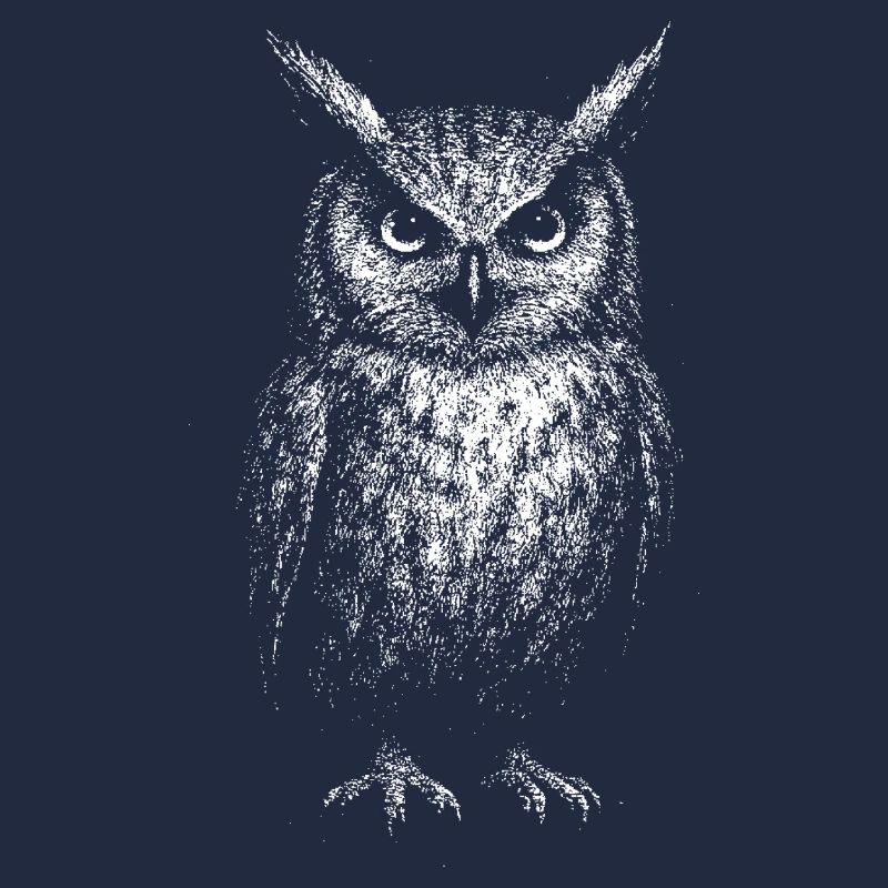 An eagle owl