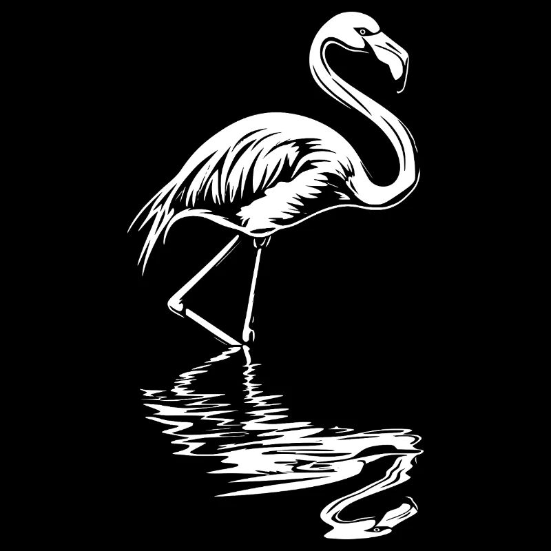 Flamingo Refelction Été Plage Soleil Tropical