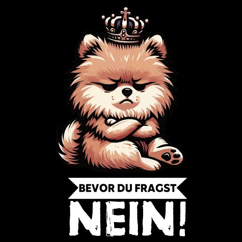 Bevor Du Fragst Nein Zwergspitz Zwergspitze Spitz 
