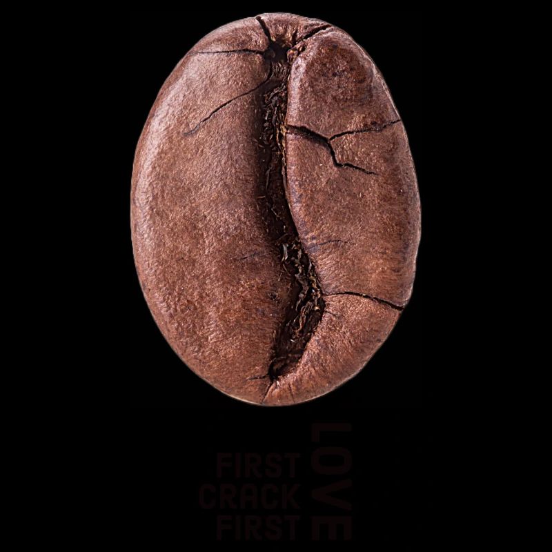 First crack first love
