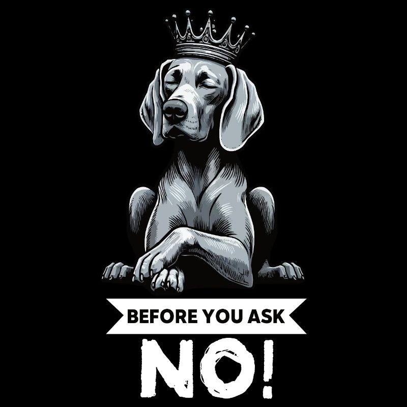 Before You Ask Weimaraner Weimaraner Lovers